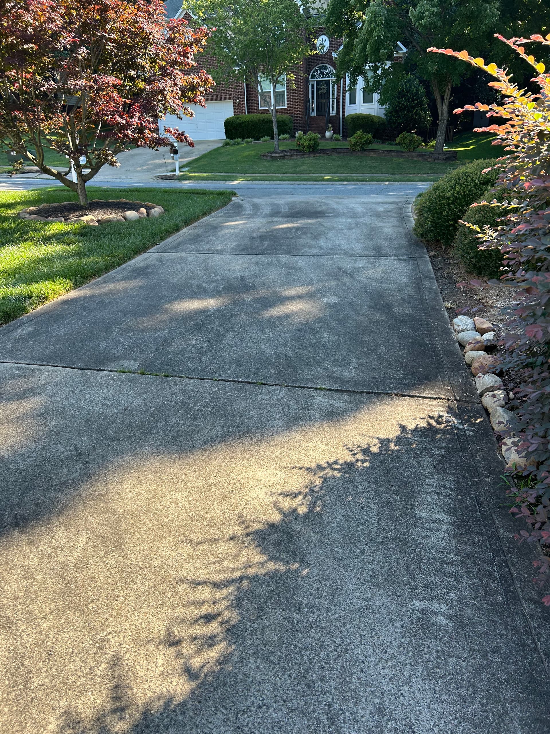 Driveway Pressure Washing Wipes Out Algae and Grime in Cornelius image